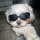dcklvr's avatar