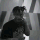 Noowz's avatar