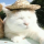 NakuKoro's avatar