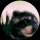 dragon's avatar