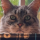 seau's avatar