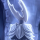 Lil Sekai's avatar