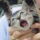 Faelayis's avatar