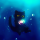 May's avatar