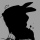 GrafitowyXit's avatar