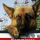 doggo.28's avatar