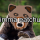 bear_'s avatar