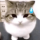 guimx's avatar