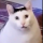 Skully's avatar