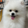 dhgusqls's avatar