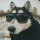 Lobo's avatar