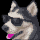 Lobo's avatar
