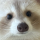 Aai's avatar