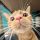 RottenCheese's avatar