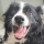 Pepijn's avatar